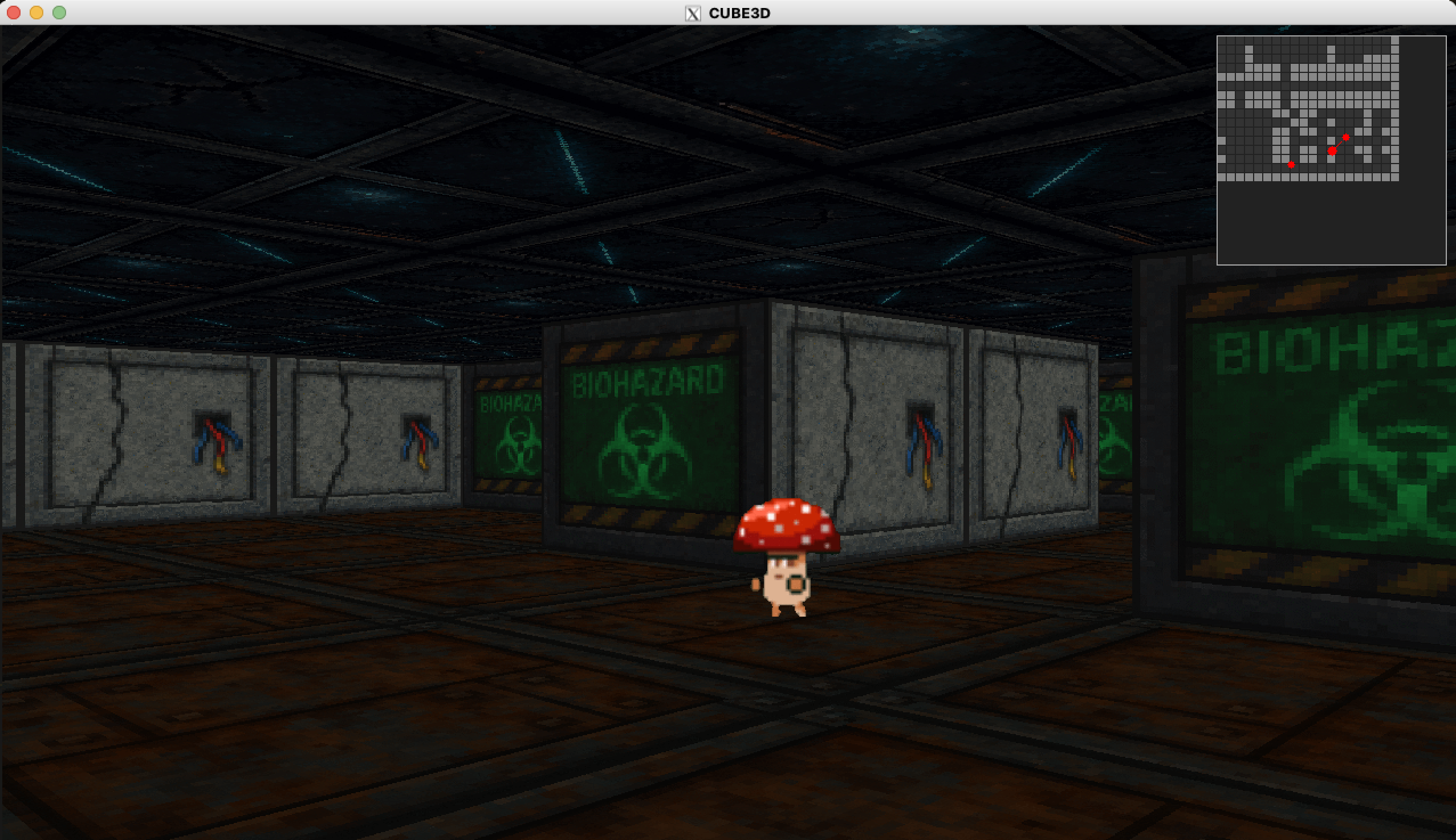 Cub3D Gameplay View 2